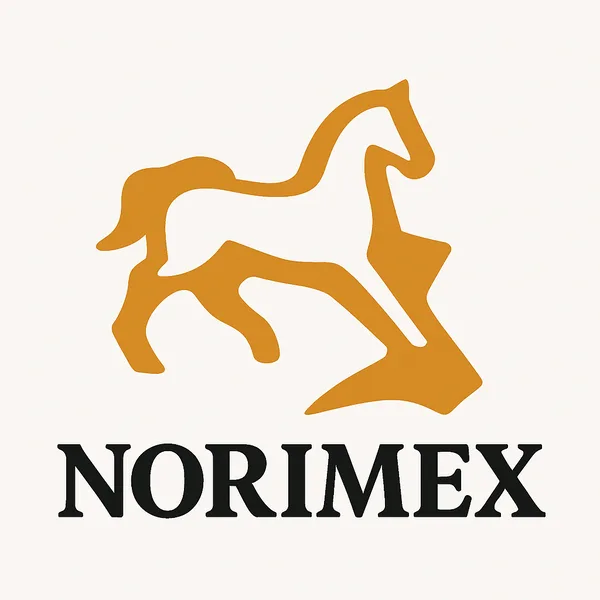 Norimex logo design